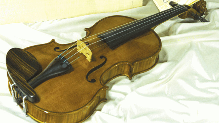 Violino17